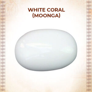 White Coral (Moonga)
