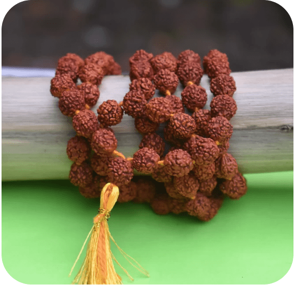 Shree Harsiddhi rudkrasha min - Shree Harsiddhi