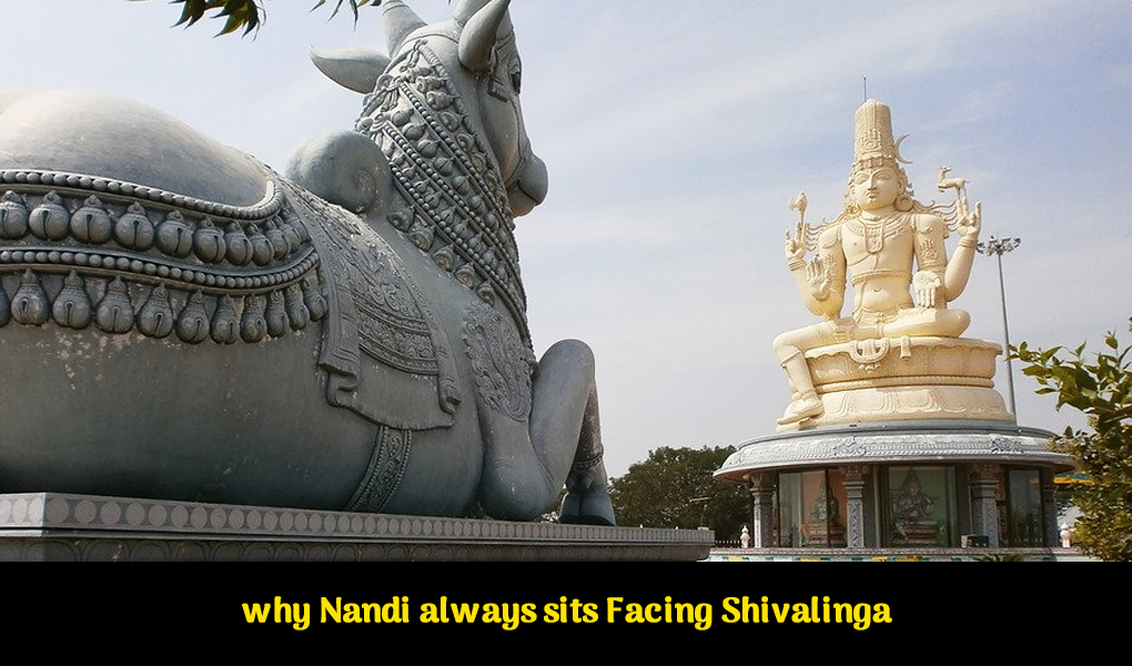 Why Nandi Always Sits Facing Shivalinga